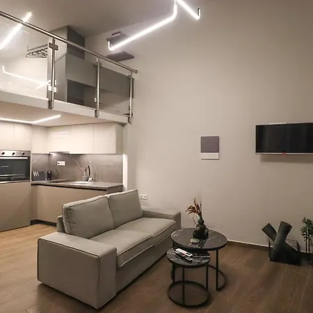 Ortus Lofts *