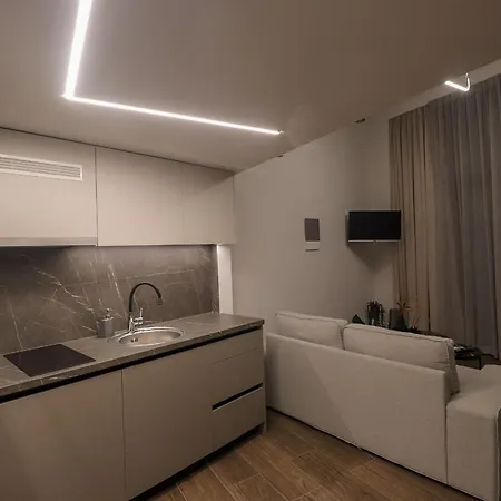 Ortus Lofts *