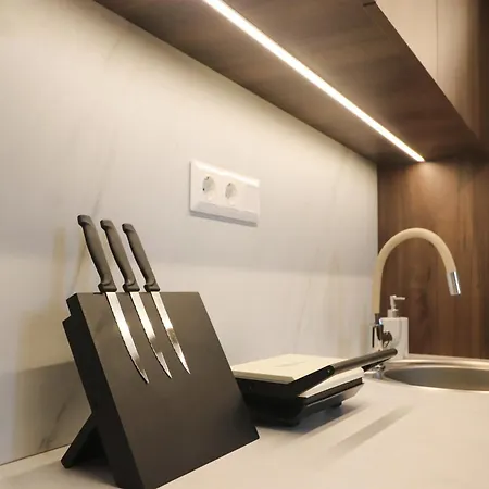 Ortus Lofts